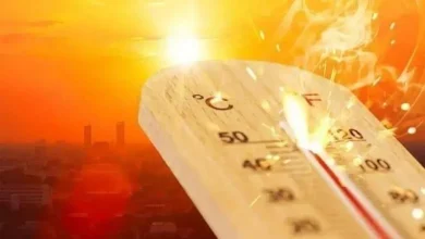 استمرار الموجة شديدة الحرارة على أغلب أنحاء مصر حتى الثلاثاء