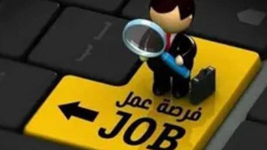 في 8 محافظات.. طرح دورات تدريبية مجانية لتأهيل الشباب لسوق العمل