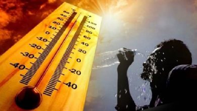رياح نشطة وطقس شديد الحرارة والرطوبة على تلك المناطق في مصر.. الأرصاد تحذر