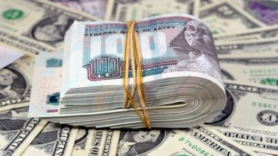 في البنوك والسوق السوداء | سعر الجوكر الأخضر مقابل الجنيه المصري الأربعاء 16 يوليو 2025