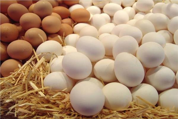 أسعار البيض النهارده في مصر 27-7-2025.. تحركات جديدة في بورصة بيض المائدة