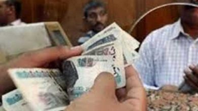 رسميًا.. صرف معاش تكافل وكرامة يبدأ الآن.. كم تبلغ الزيادة الجديدة؟