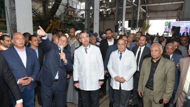 خطة حكومية طموحة: تطوير مصانع قصب السكر المصرية لتحقيق الاكتفاء الذاتي وحماية البيئة