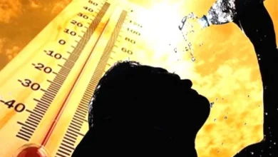 الأرصاد المصرية تعلن قدوم "موجة شديدة الحرارة"
