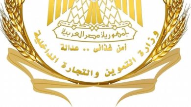أكثر من 700 ألف قضية تموينية في مصر خلال 2024 حتى 15 يونيو 2025