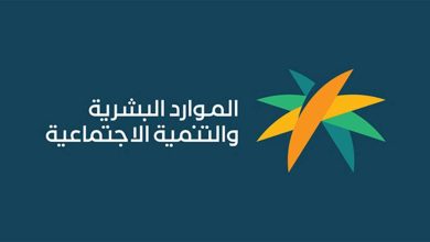 الموارد البشرية تكشف أنواع "الدخل المدرج كأصل" في الضمان المطور