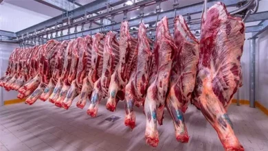 أسعار اللحوم في مصر 27 يوليو 2025.. كيلو الكندوز يشهد تغير ملحوظ