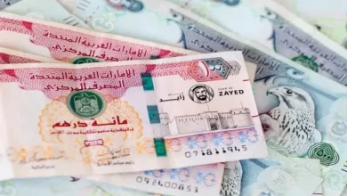 أسعار صرف الدرهم الإماراتي مقابل الجنيه المصري 26 يوليو 2025