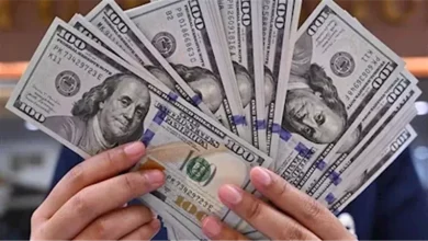 سعر صرف الدولار مقابل الجنيه المصري اليوم.. استقرار أم تحرك جديد؟