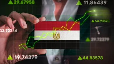 الاقتصاد المصري: مسح جوي للمعادن، نمو الصادرات، واستقرار أسعار السلع الغذائية 2025
