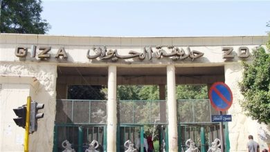 حديقة حيوان الجيزة والأورمان