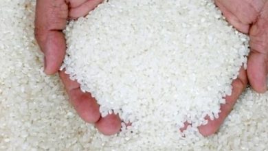 أسعار الأرز اليوم