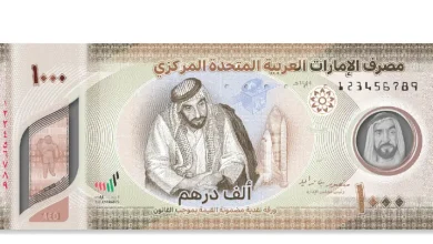سعر صرف الدرهم الإماراتي أمام الجنيه المصري اليوم الأحد
