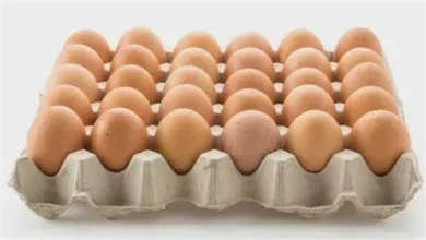 سعر كرتونة البيض النهاردة 22-7-2025 للمستهلك.. الأبيض والأحمر والبلدي بكام؟