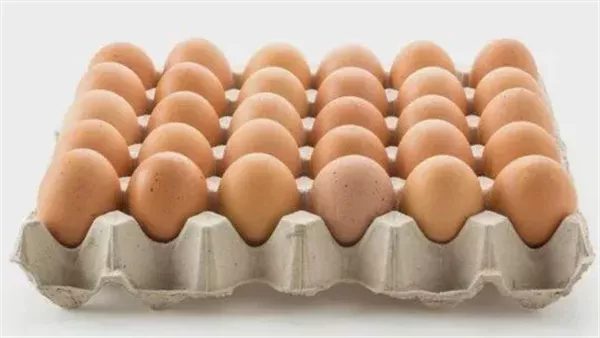 سعر كرتونة البيض النهاردة 22-7-2025 للمستهلك.. الأبيض والأحمر والبلدي بكام؟