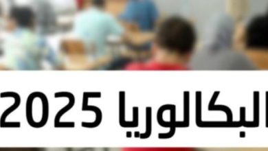 إعلان رسمي: نتائج البكالوريا 2025 دورة جوان متاحة الآن