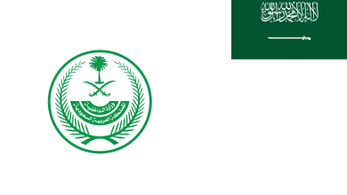 الجوازات تفرض عقوبات بالغرامات والترحيل بسبب تلك المخالفة الجسيمة