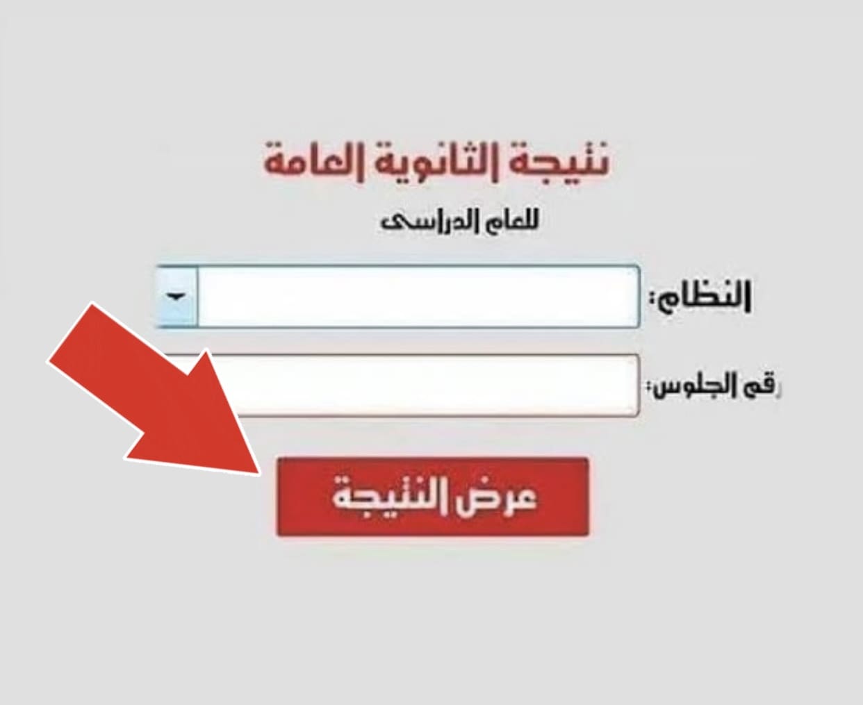 نتيجة تنسيق المرحلة الأولى 2025 رسميًا