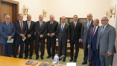 مصر تتمتع بريادة إفريقية متجددة ودور محوري في قضايا القارة العالمية عام 2025 "التفاصيل"