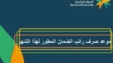 تبكير موعد صرف الضمان الاجتماعي المطور دفعة أغسطس 2025