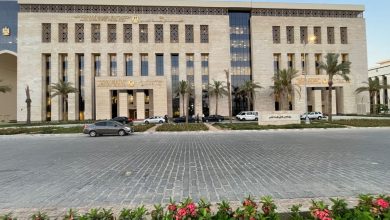 التعليم العالي والبحث العلمي