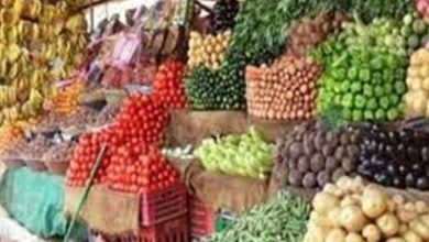 أسعار الخضار اليوم في سوق العبور.. الطماطم والبطاطس تقود موجة تراجع قوية
