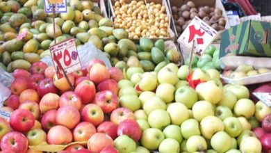 أسعار الفواكه في مصر اليوم.. بين الاستقرار والارتفاع التدريجي