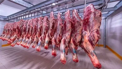 أسعار اللحوم اليوم