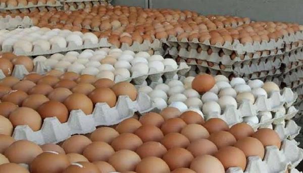 أسعار كرتونة البيض الأحمر والبلدي اليوم