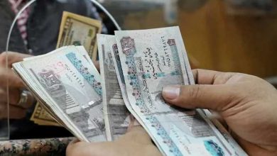 أماكن صرف معاشات أغسطس 2025 وخطوات الاستعلام عبر التأمينات