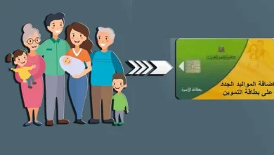 إضافة المواليد لبطاقات التموين