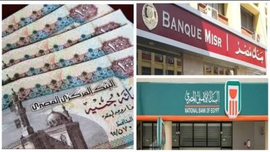 إلى أين سيتجه مدخرات المصريين بعد انخفاض عوائد الشهادات؟ ما هو الاختيار بين العقارات والذهب؟