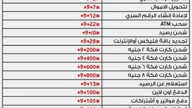 ازاي اعرف رصيدي كام في فودافون كاش