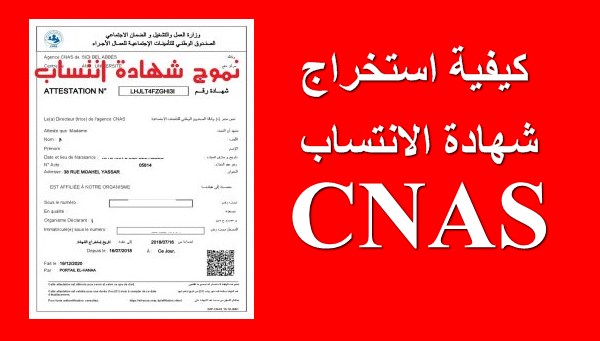 استخراج شهادة عدم الانتساب cnas من الانترنت للزوجة 2025 عدم الانتساب الى الضمان الاجتماعي