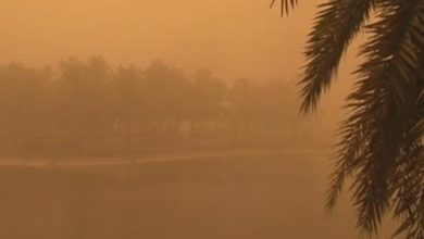 الأرصاد تحذر من عوالق ترابية وأتربة مثارة على منطقة الباحة