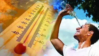 الأرصاد في تونس