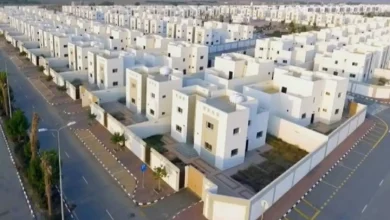 الإسكان التنموي