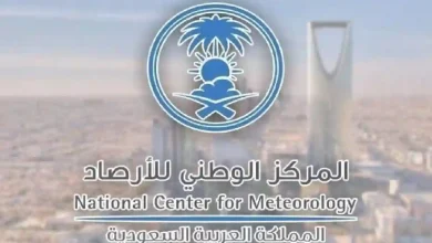 الأرصاد تحذر: حالة جوية غير مستقرة وأمطار رعدية تضرب هذه المناطق بالمملكة