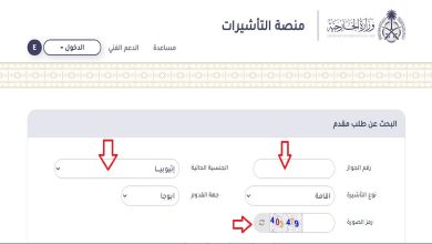 الاستعلام عن تأشيرة السعودية