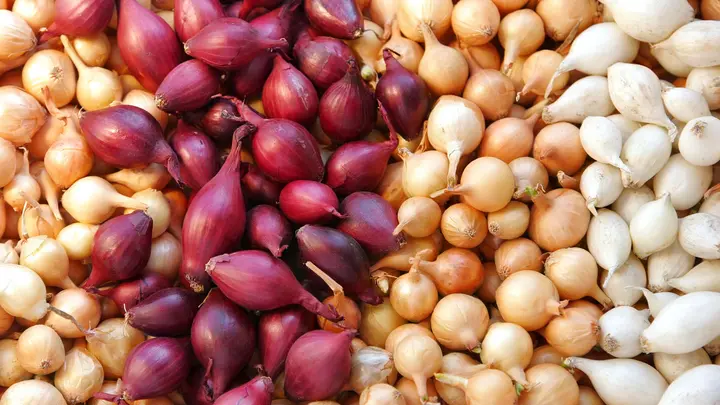 البصل يغرد خارج السرب.. سعر الخضراوات في مصر اليوم يشهد تفاوتًا كبيرًا