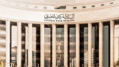 البنك المركزي المصري ينجح في بيع أذون خزانة بـ 165 مليار جنيه لامتصاص السيولة وتثبيت الأسعار