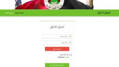 التسجيل في منحة العمالة غير المنتظمة 2025 الآن متاحة