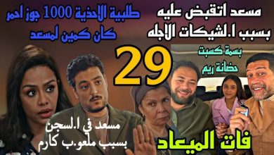 الحلقة 29 من مسلسل فات الميعاد