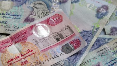 سعر الدرهم الإماراتي مقابل الجنيه المصري اليوم