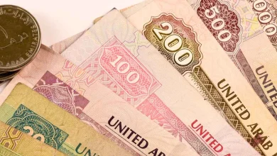 الدرهم الإماراتي مقابل الجنيه المصري.. تعرف على سعر الصرف الرسمي اليوم