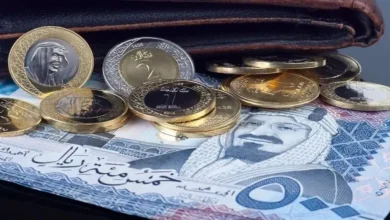 الريال السعودي أمام الجنيه اليوم