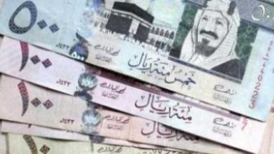 الريال السعودي مقابل الجنيه.. تعرف على سعر الصرف الرسمي الآن