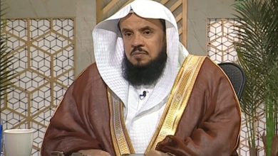 السبر