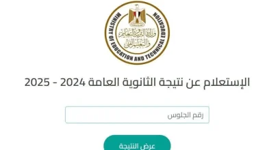 الكشف عن تنسيق المرحلة الثانية للثانوية العامة 2025 وأسماء الكليات المتاحة