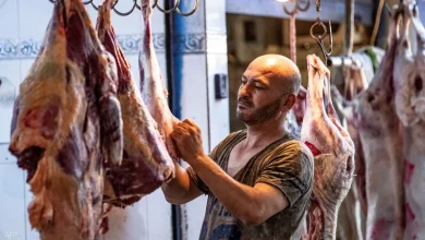 اللحوم اليوم في مصر.. هل تعود الأسعار للانخفاض بعد موجة الغلاء؟